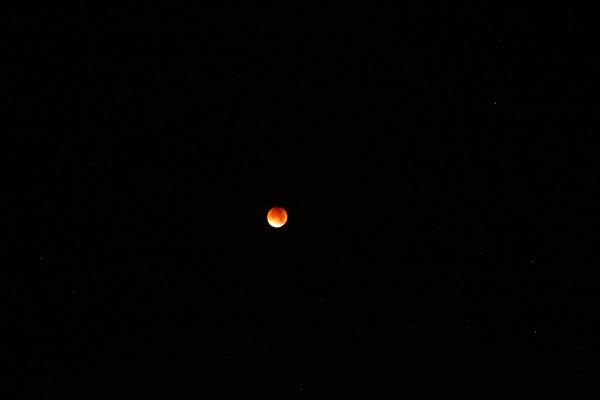 D_20150928-041902 IMG_0391.jpg